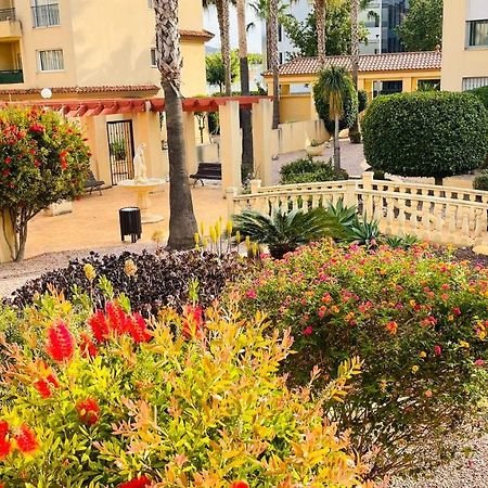 Beautiful 1 Bedroom Apartment In Albir アルビール エクステリア 写真